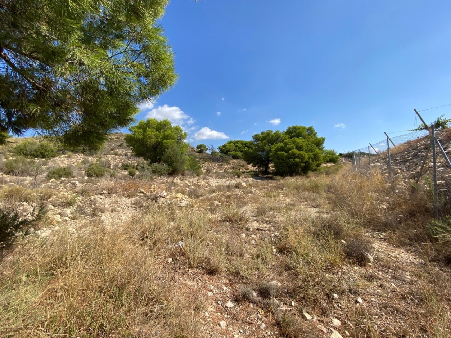 till salu tomt Urbanización Alenda Golf Vinalopó Mitjà 4