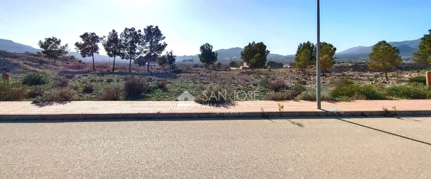 till salu tomt Urbanización Colonia Virgen Del Rosario Alt Vinalopó 2