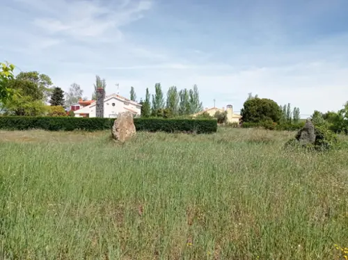 Ejeme Tierra De Alba plot foto 6193122