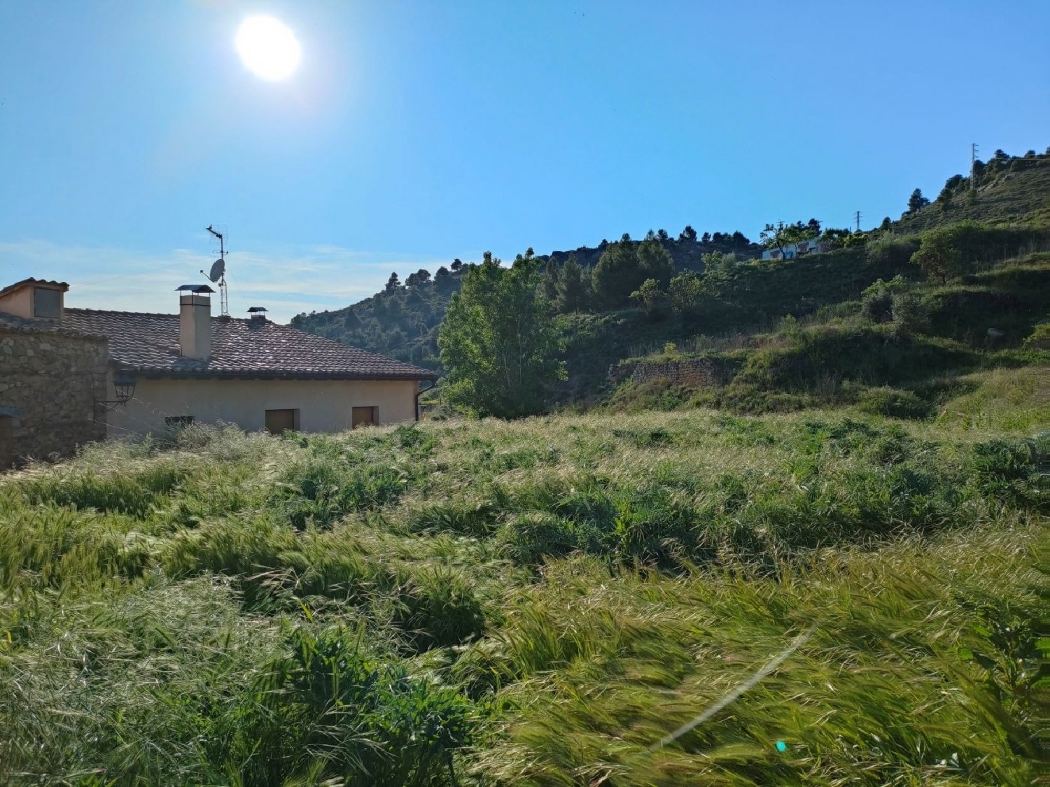  till salu tomt Valderrobres Matarraña 4