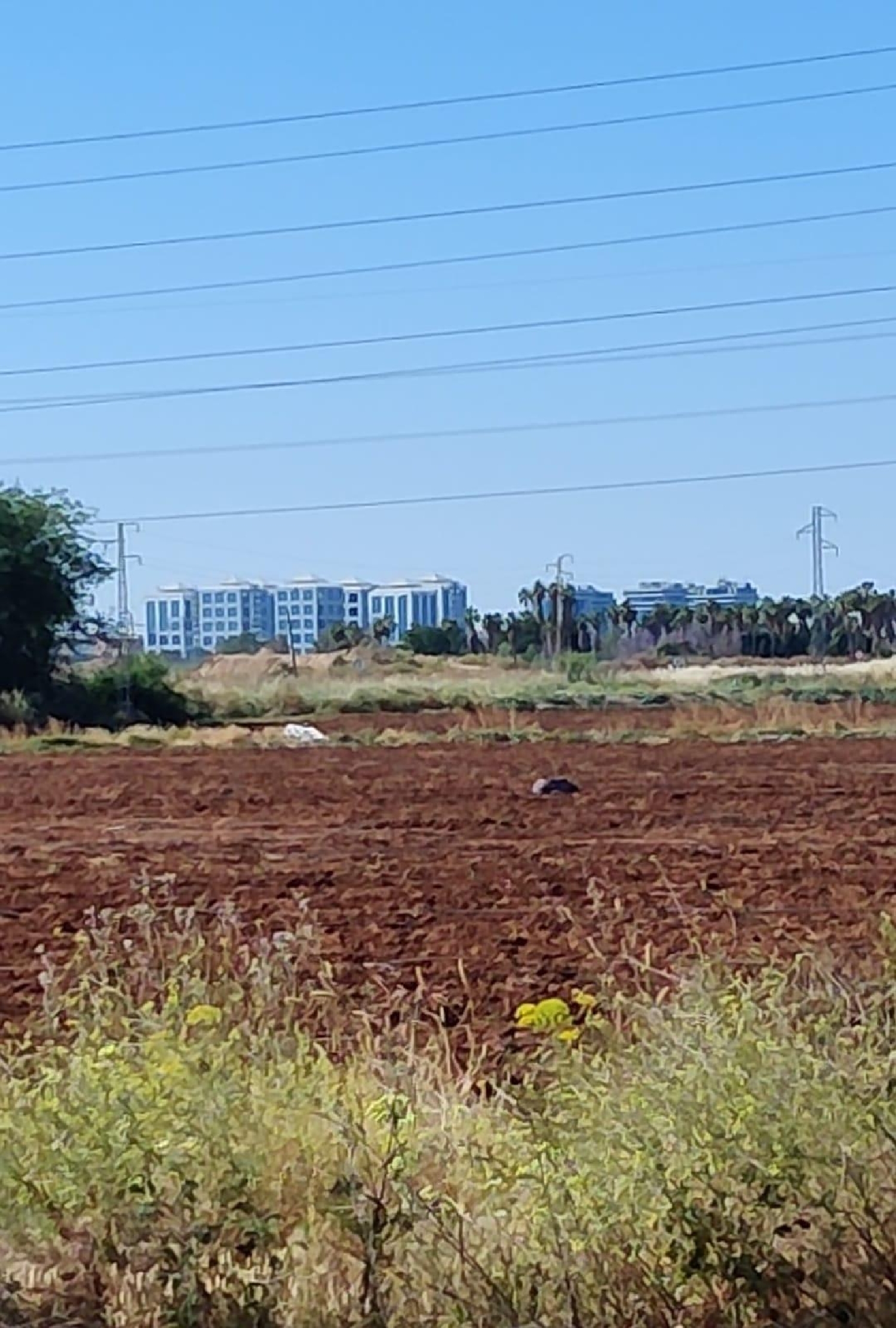  kaufen Grundstück Valdezorras Metropolitana De Sevilla 3