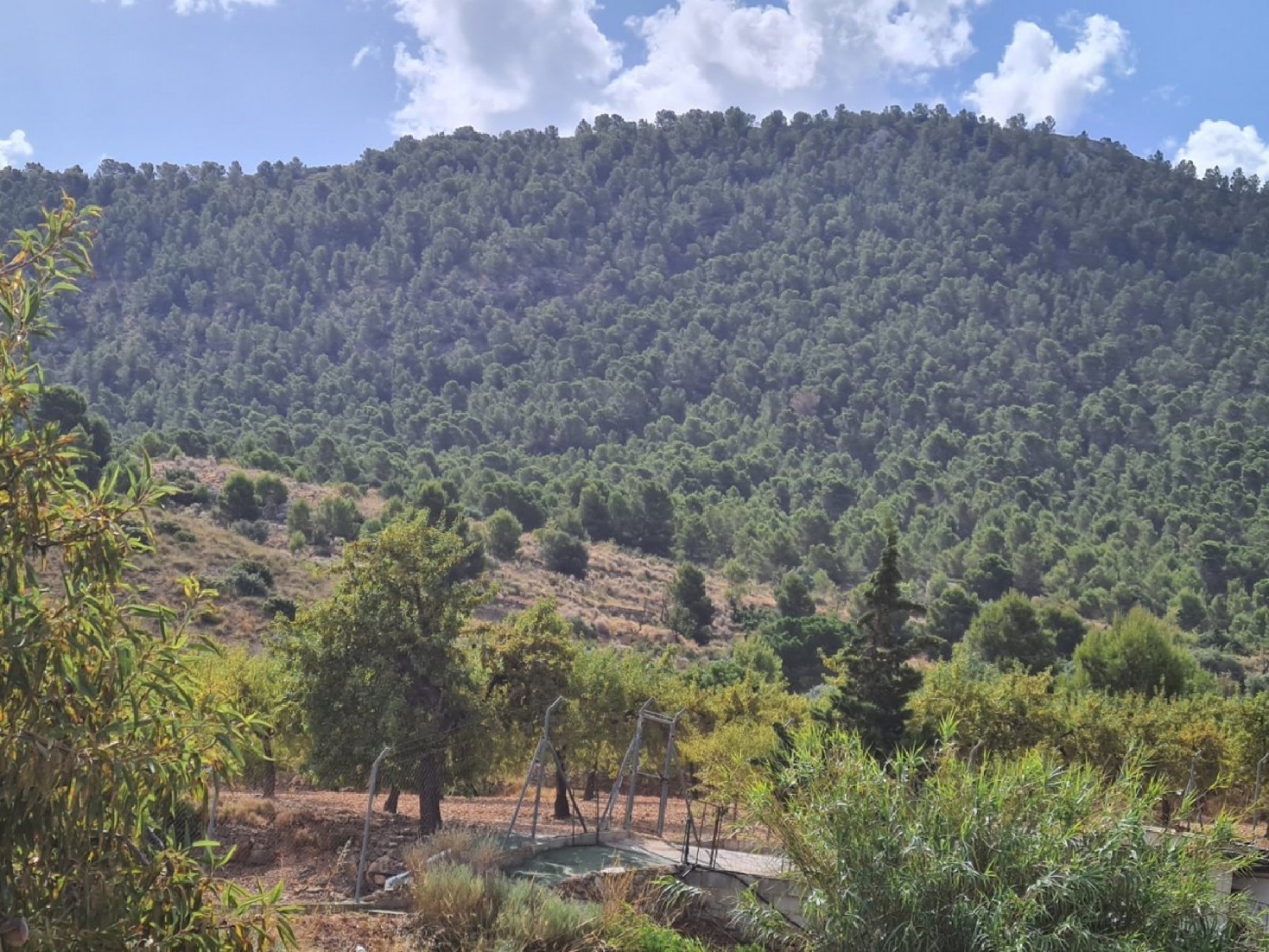 till salu tomt Vallegrande Oeste Alacantí 3