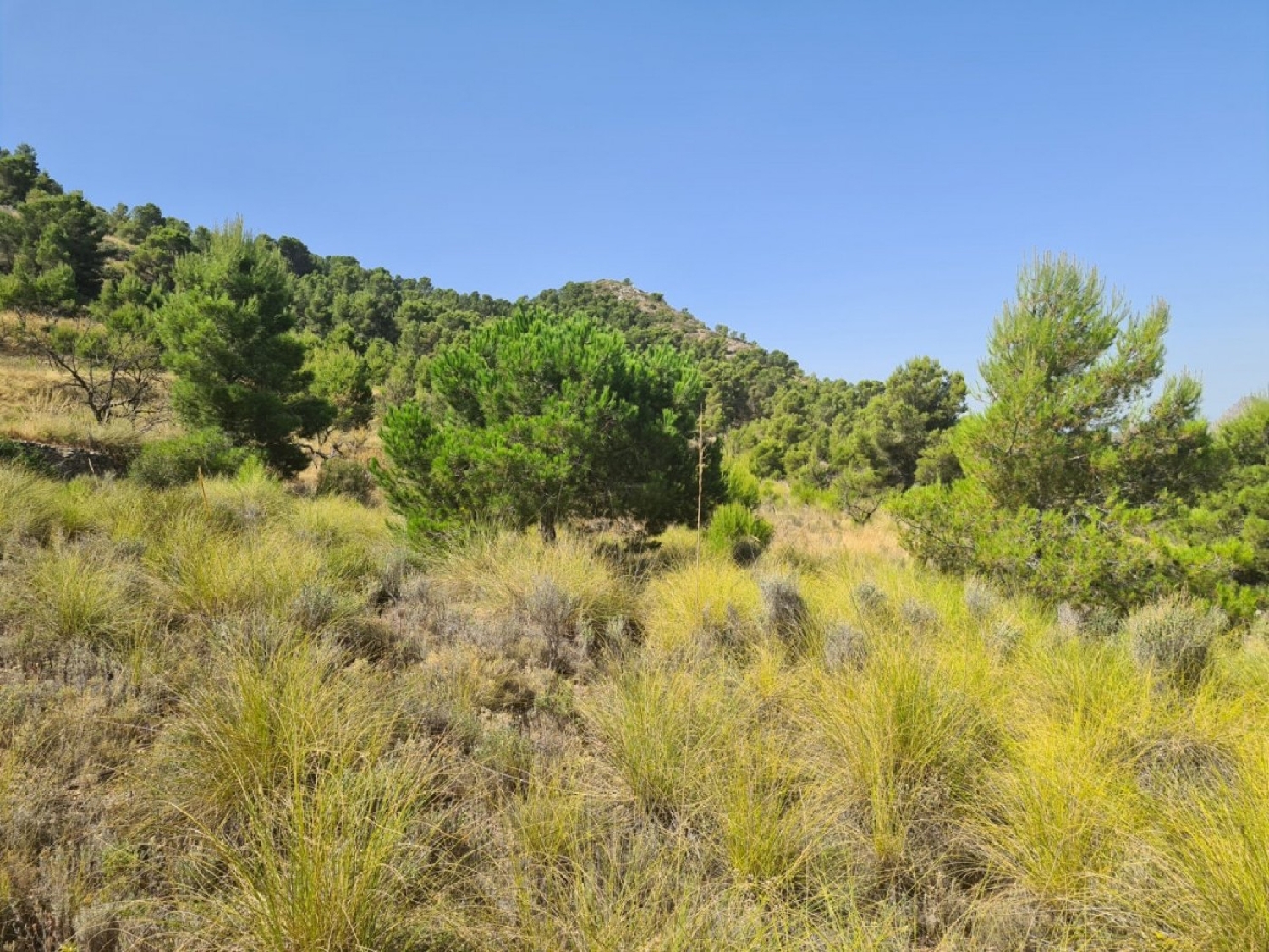  till salu tomt Vallegrande Oeste Alacantí 6