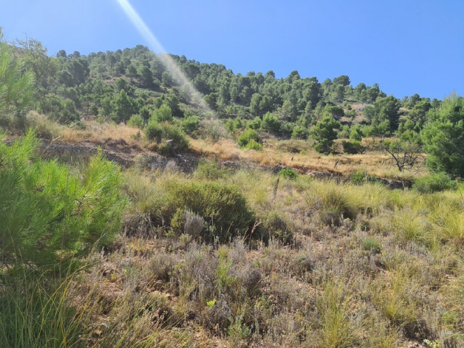  till salu tomt Vallegrande Oeste Alacantí 7