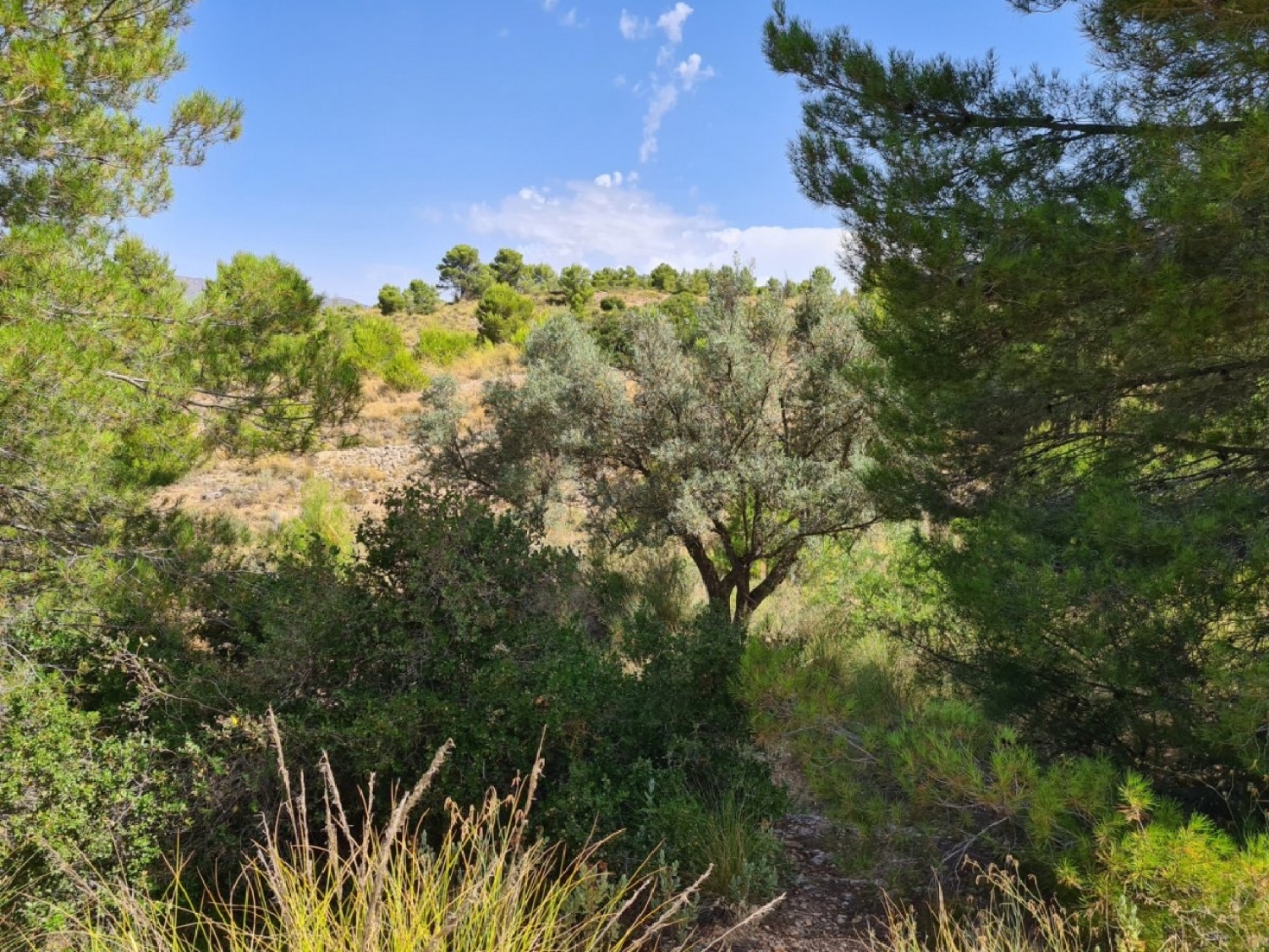  till salu tomt Vallegrande Oeste Alacantí 8