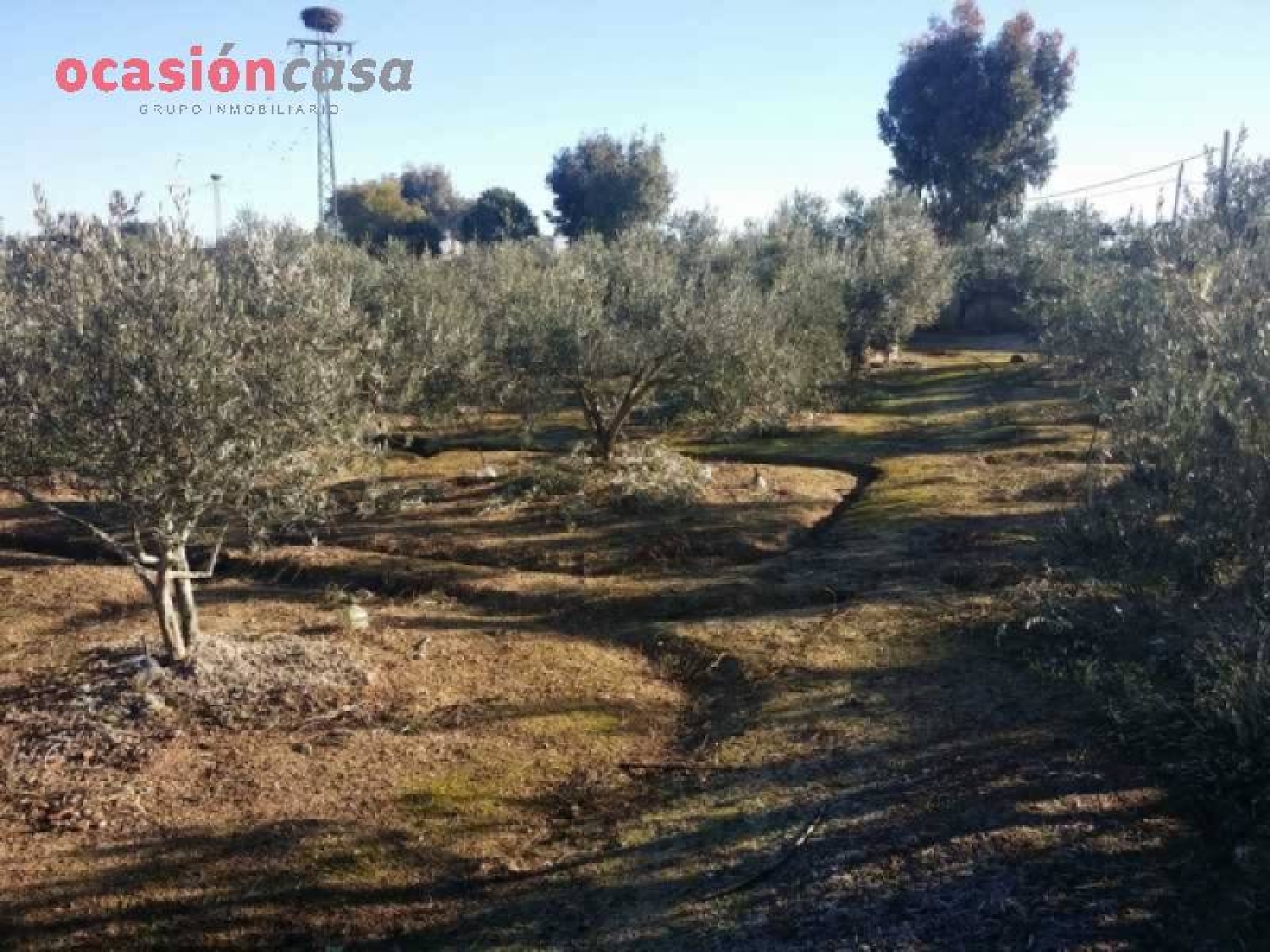  till salu tomt Valsequillo Valle Del Guadiato 7