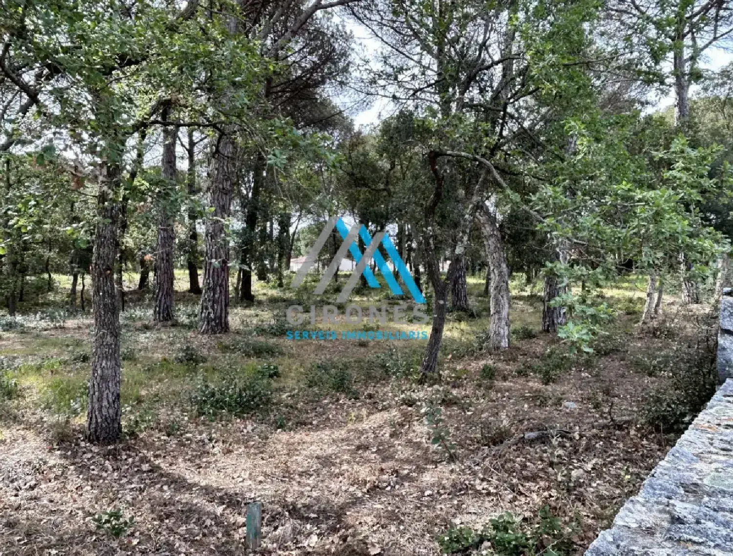  till salu tomt Veinat De Gaia Gironès 5