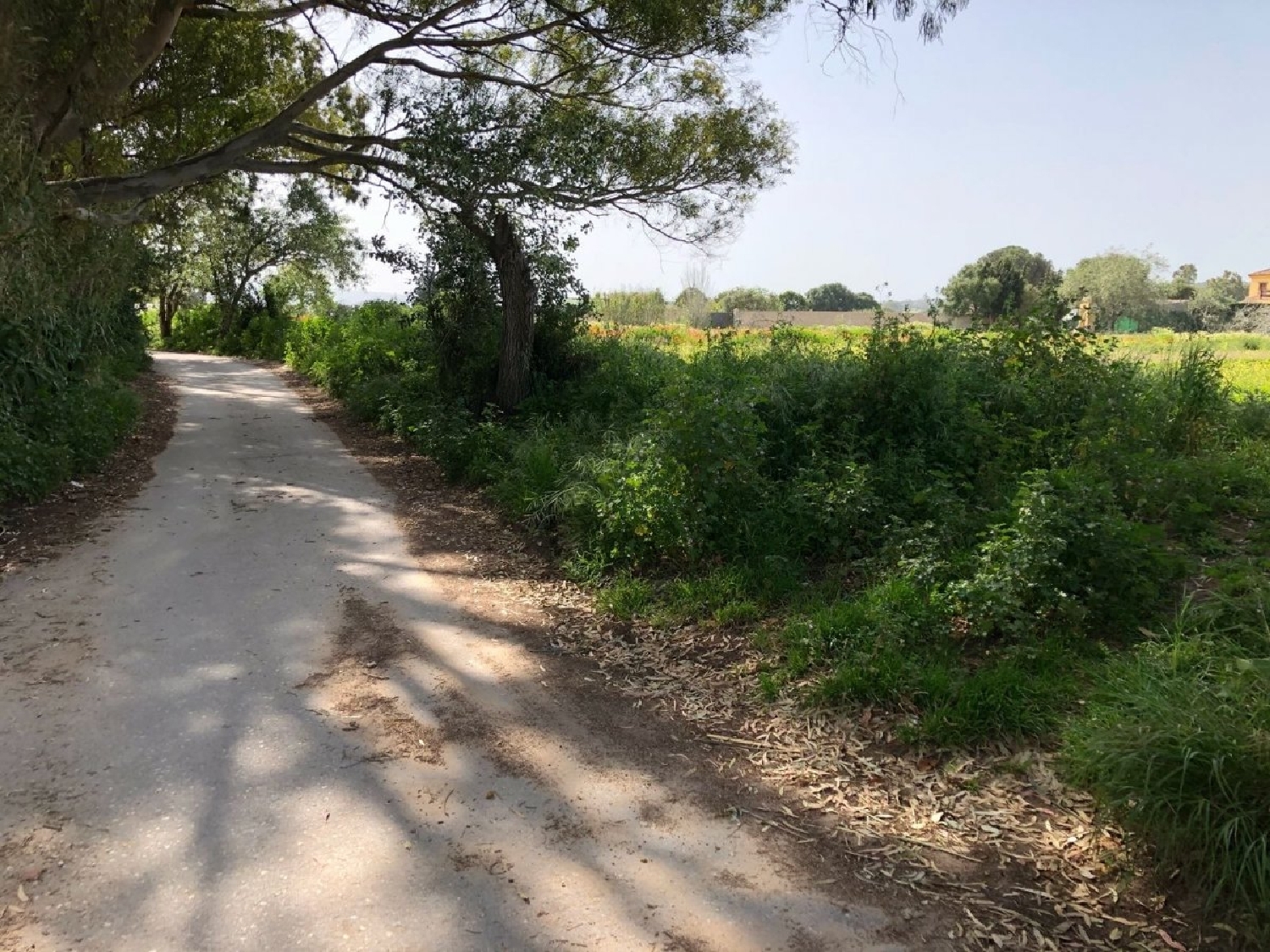  till salu tomt Vejer De La Frontera Janda (La) 8