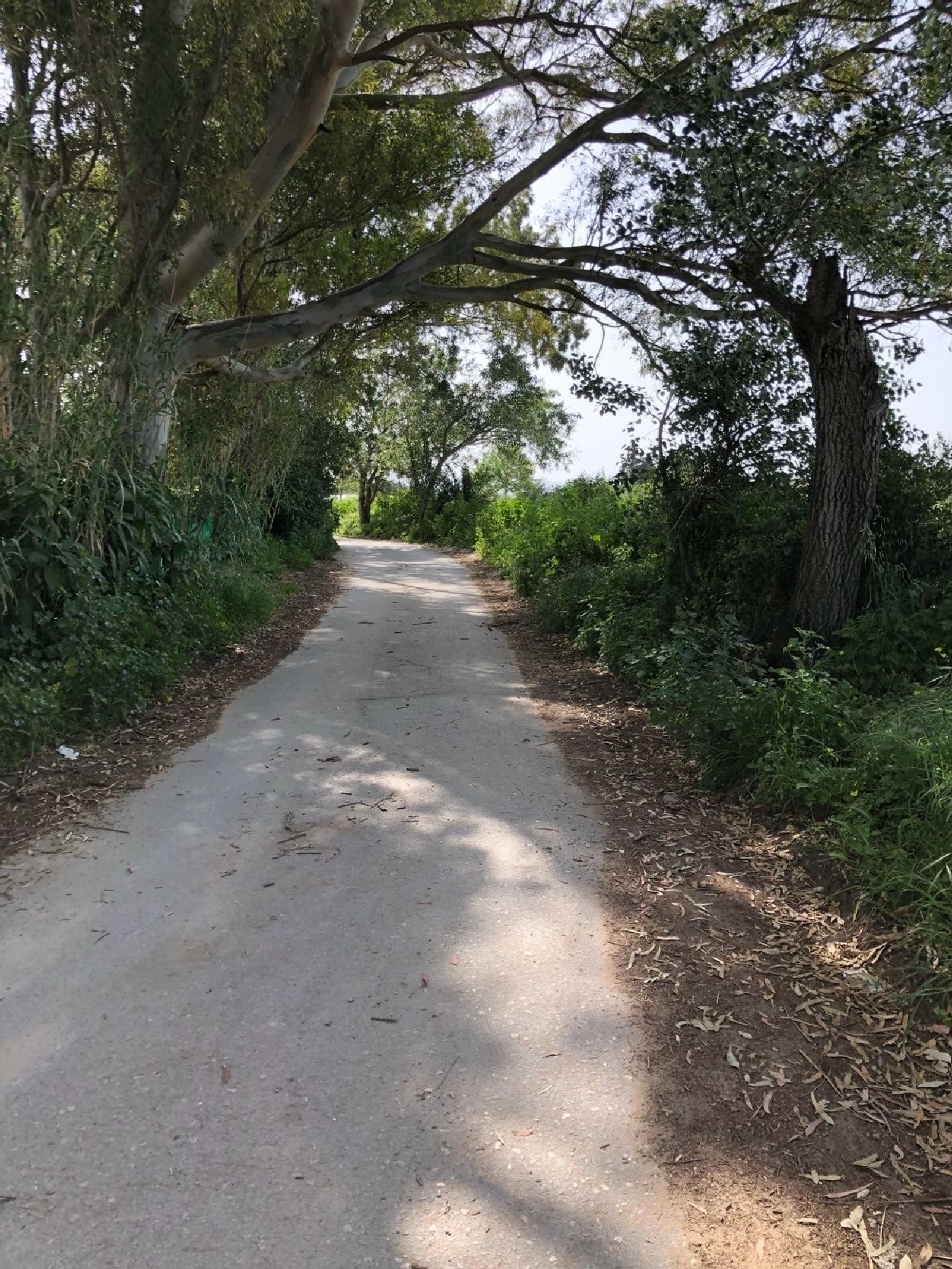  till salu tomt Vejer De La Frontera Janda (La) 4