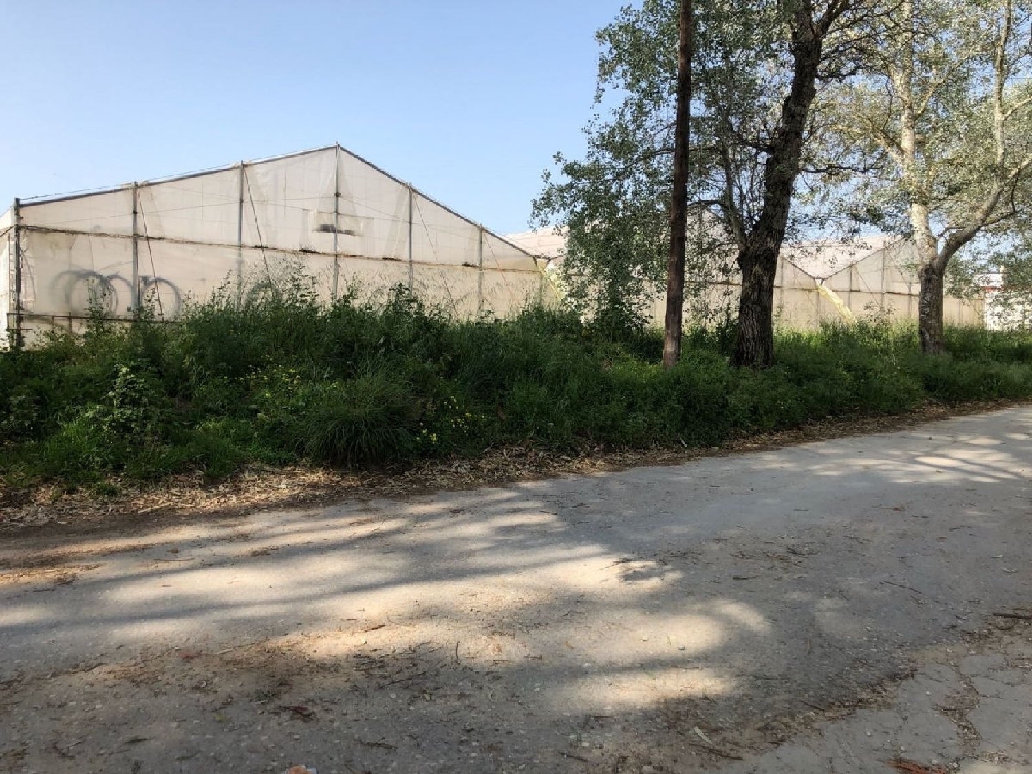 till salu tomt Vejer De La Frontera Janda (La) 2