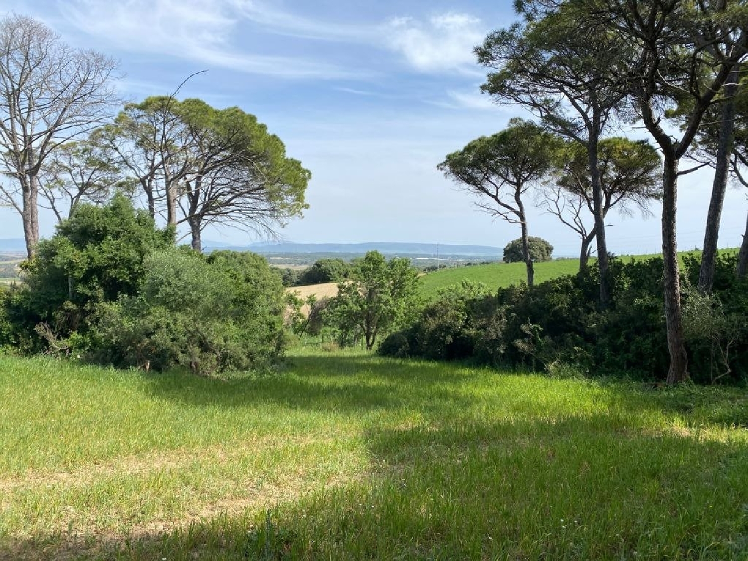 till salu tomt Vejer De La Frontera Janda (La) 3
