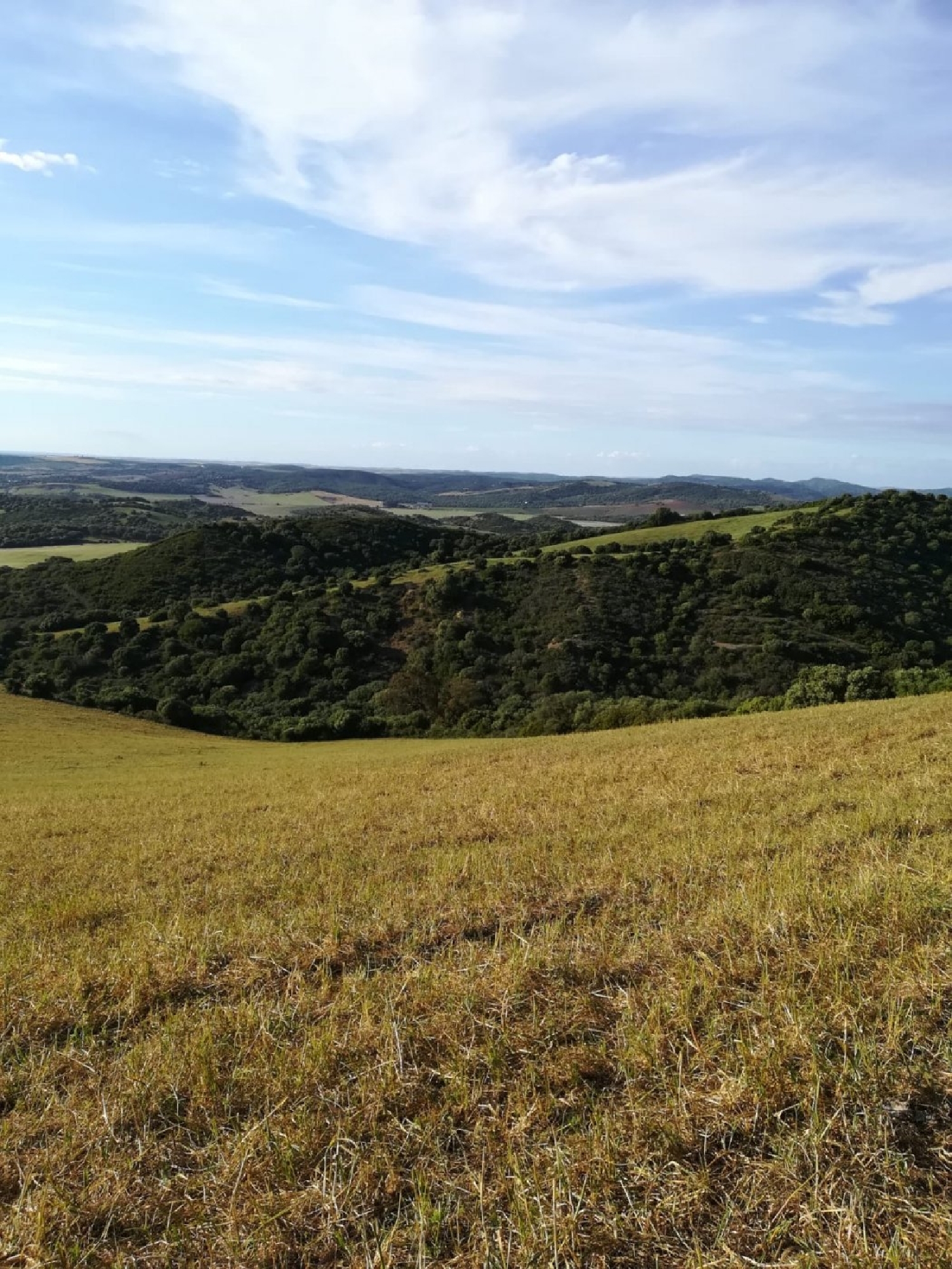 till salu tomt Vejer De La Frontera Janda (La) 3
