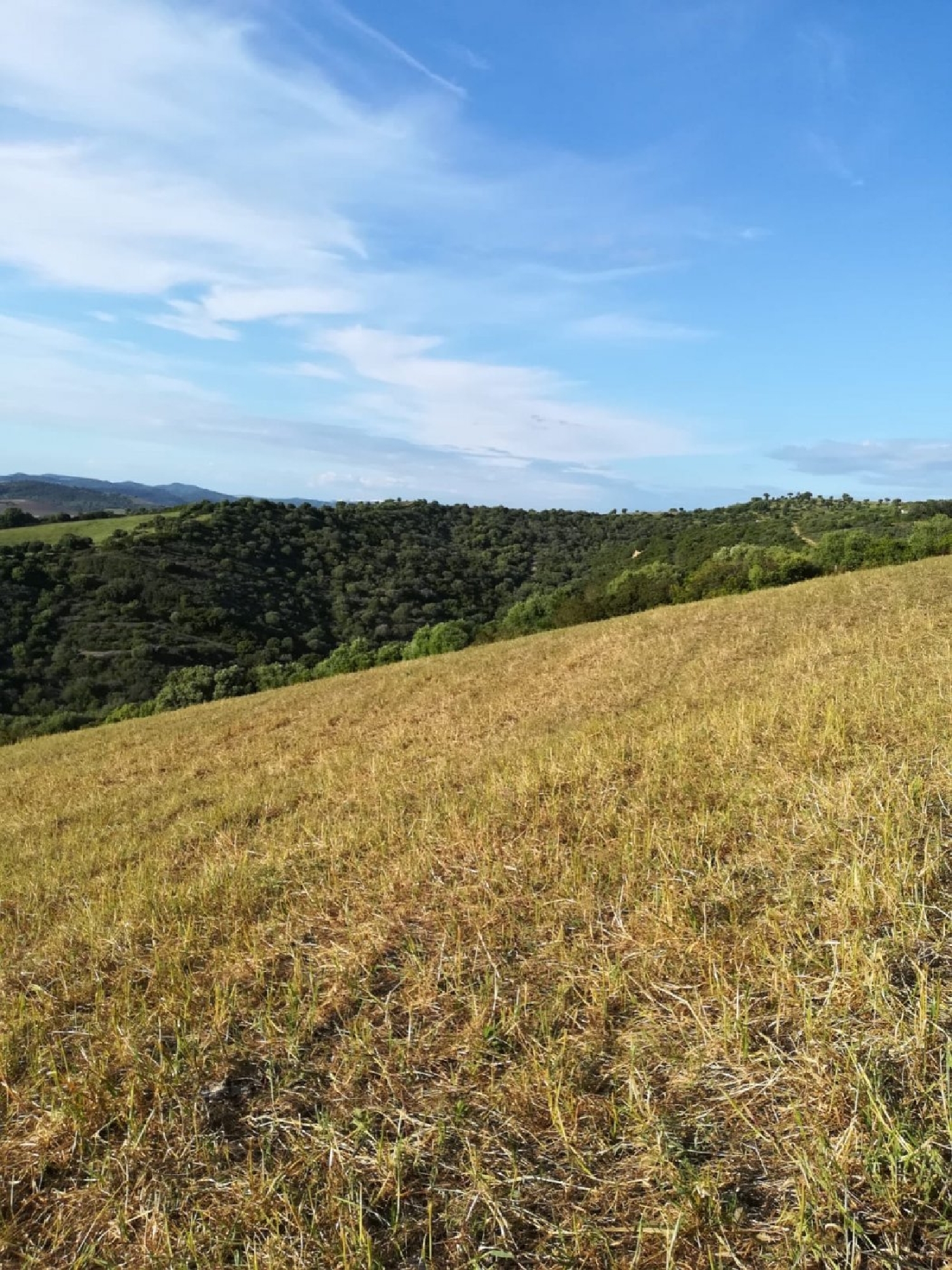  till salu tomt Vejer De La Frontera Janda (La) 6