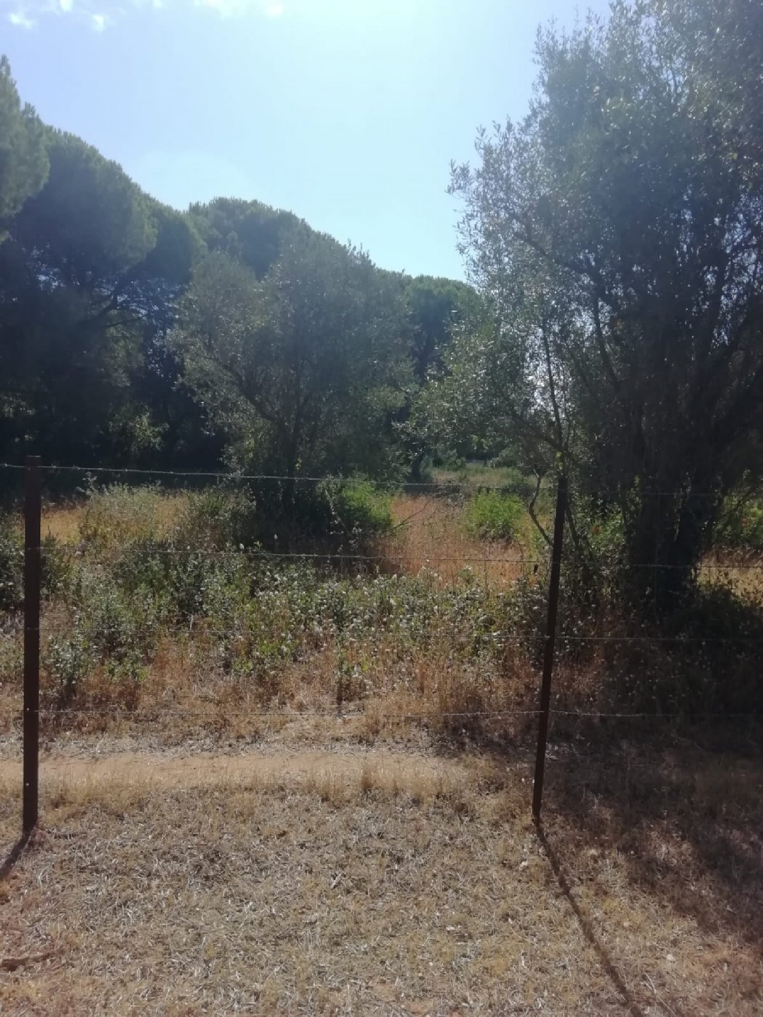 till salu tomt Vejer De La Frontera Janda (La) 3