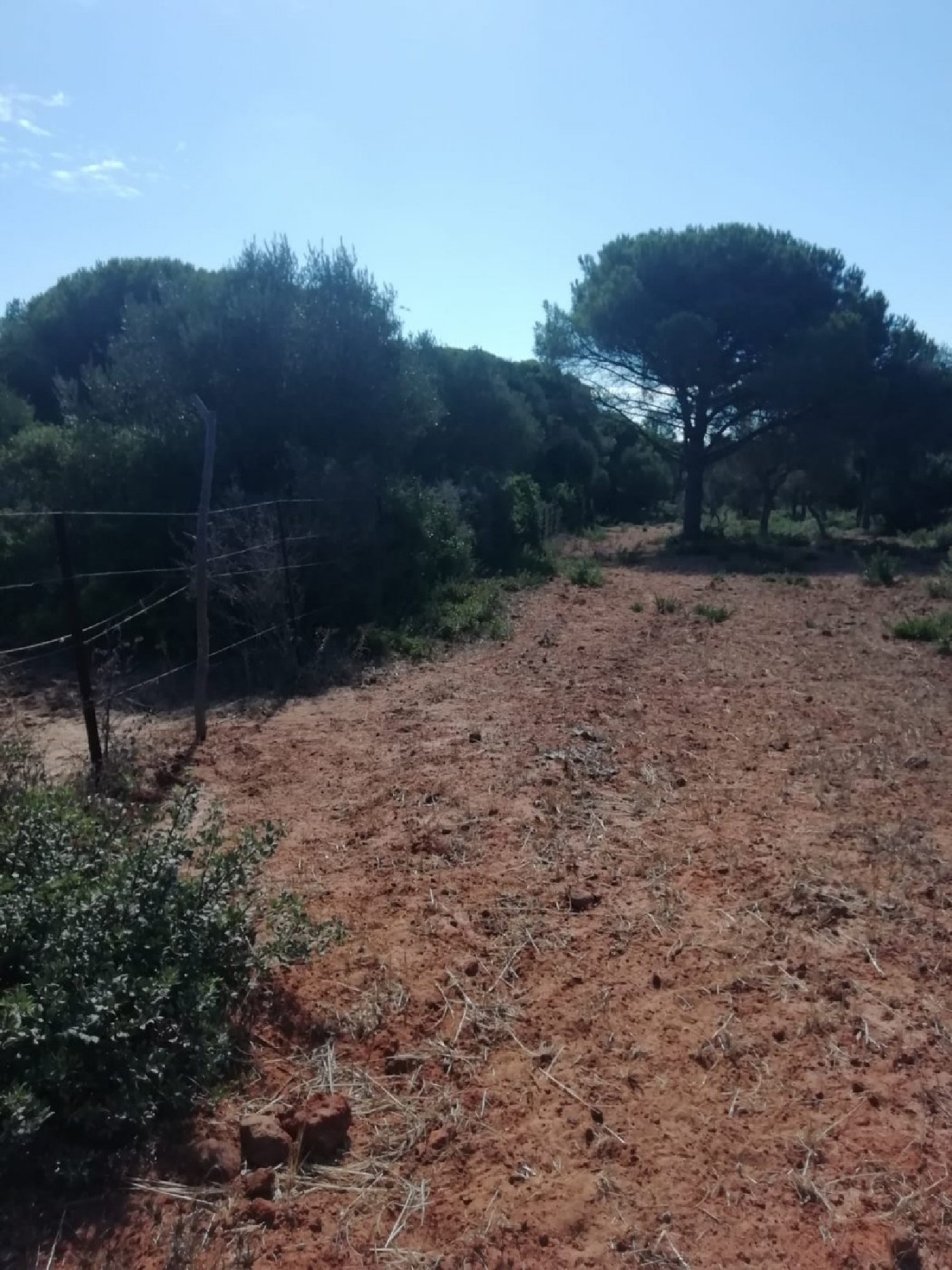 till salu tomt Vejer De La Frontera Janda (La) 2