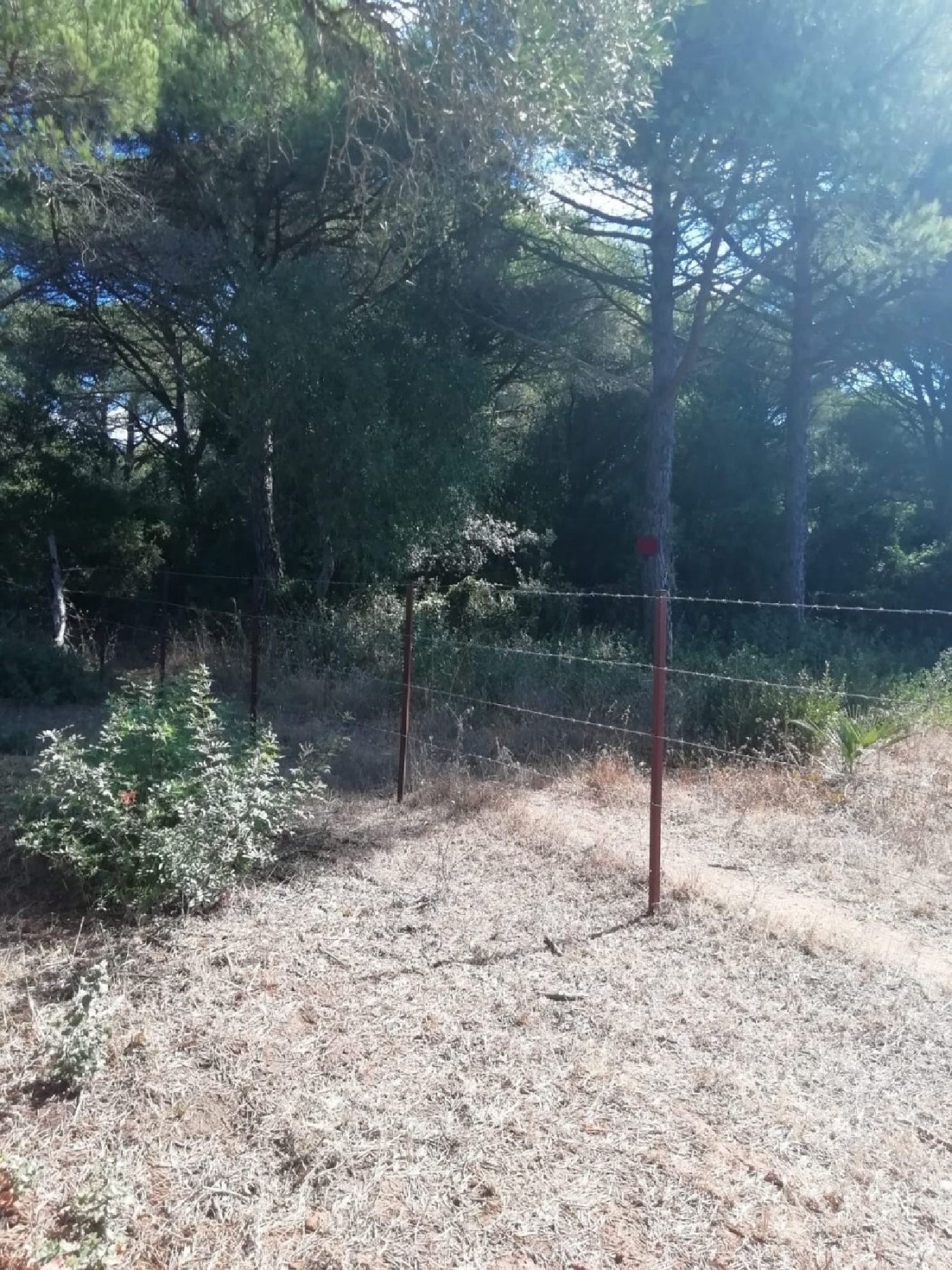  till salu tomt Vejer De La Frontera Janda (La) 5