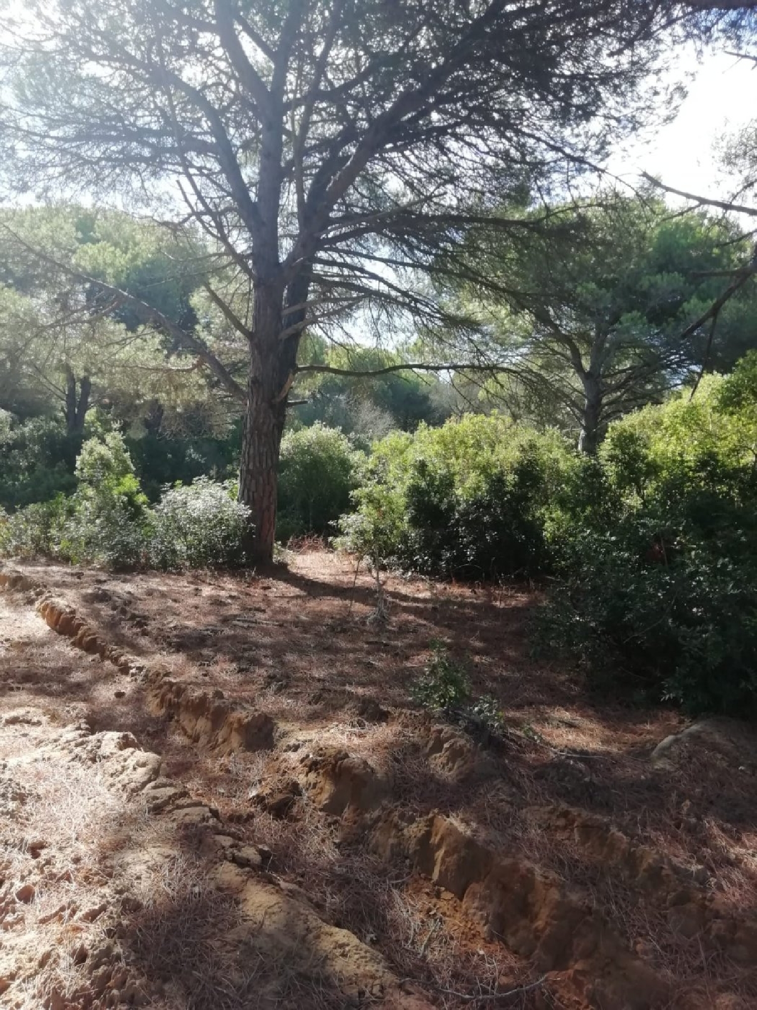  till salu tomt Vejer De La Frontera Janda (La) 4