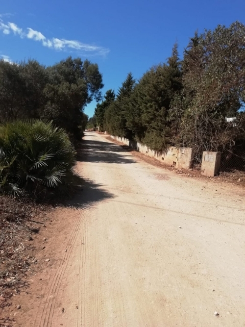 Vejer De La Frontera Janda (La) tomt foto 6225984