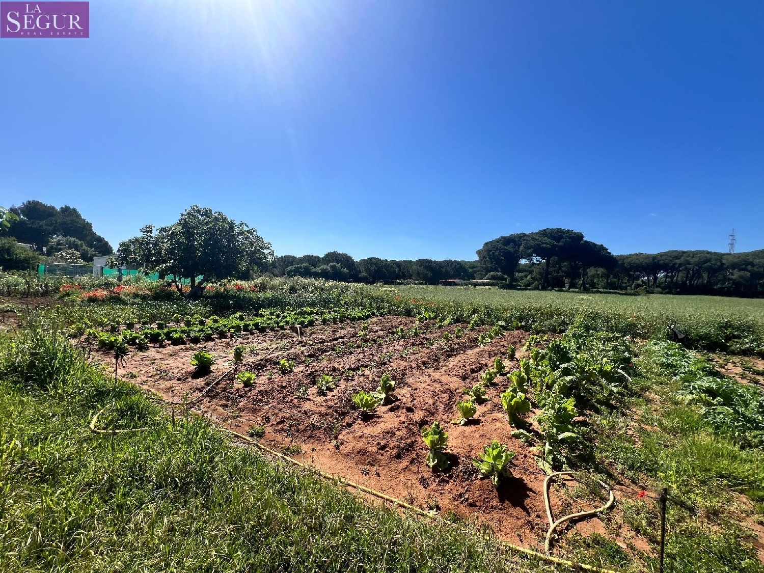  till salu tomt Vejer De La Frontera Janda (La) 6