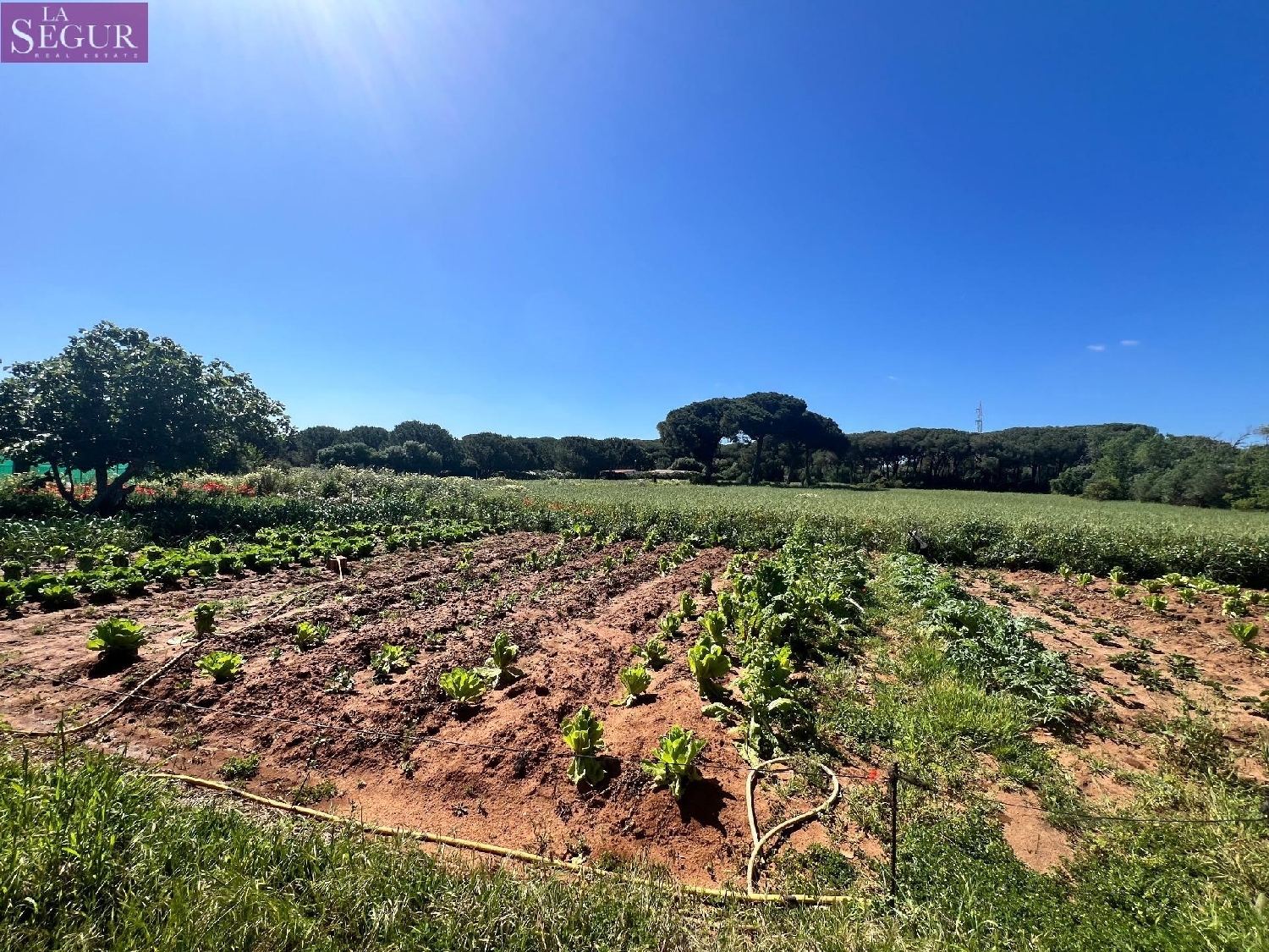 till salu tomt Vejer De La Frontera Janda (La) 3