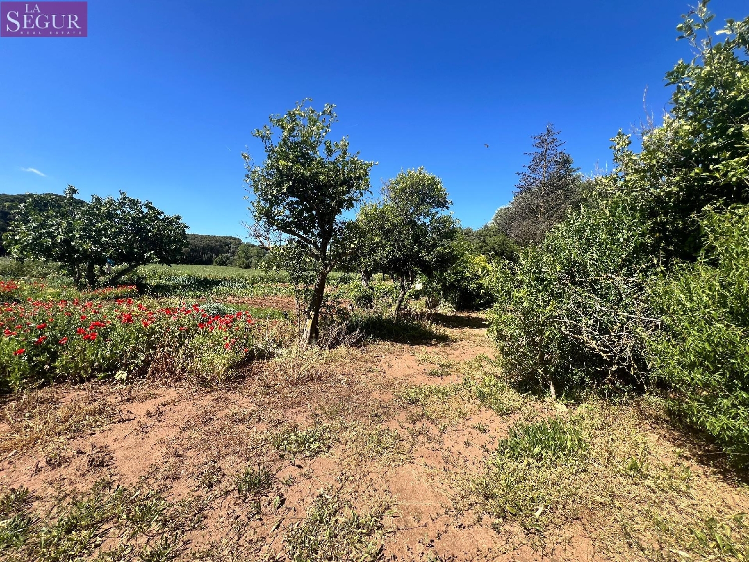  till salu tomt Vejer De La Frontera Janda (La) 1