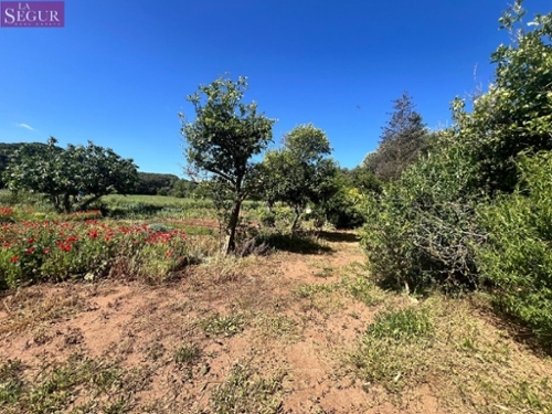 Vejer De La Frontera Janda (La) tomt foto 6226022