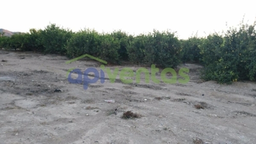 Venta Ceferino Alto Guadalentín tomt foto 6234379