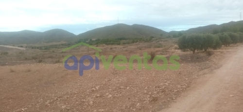 Venta Ceferino Alto Guadalentín tomt foto 6234537