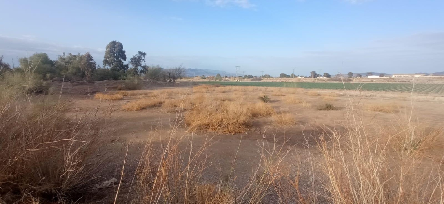  till salu tomt Venta Ceferino Alto Guadalentín 6