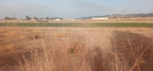 Venta Ceferino Alto Guadalentín tomt foto 6234548