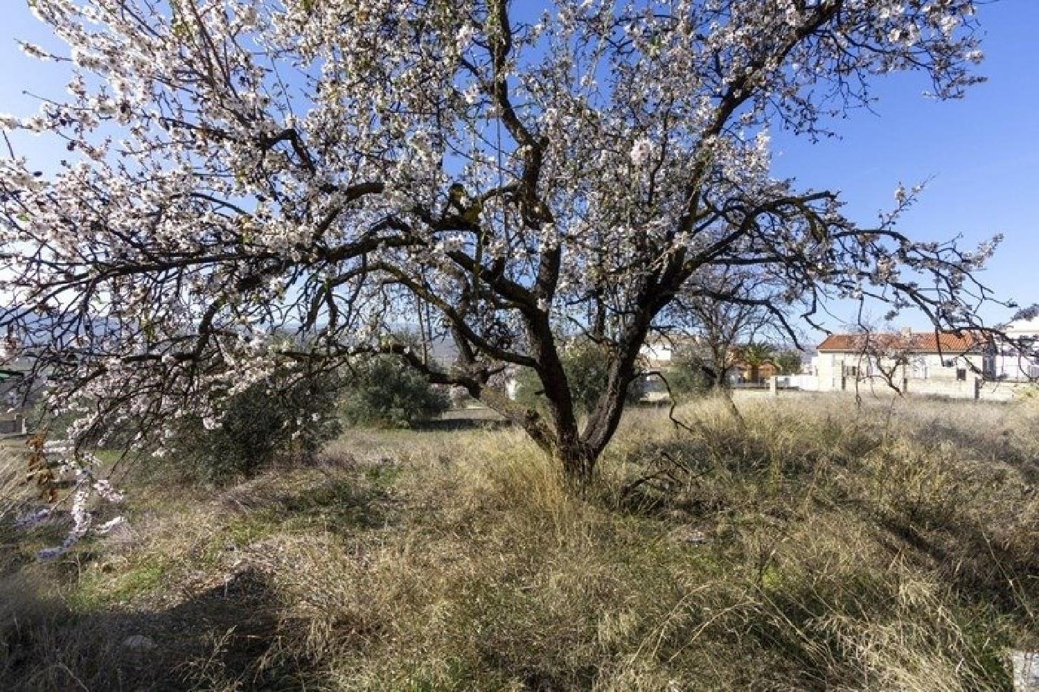  till salu tomt Venta Del Fraile Valle De Lecrín 7