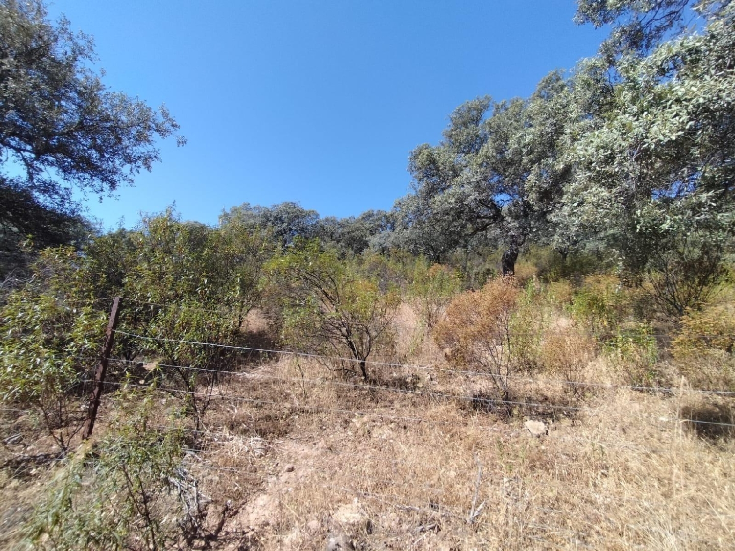  till salu tomt Ventillas Sierra Morena 4