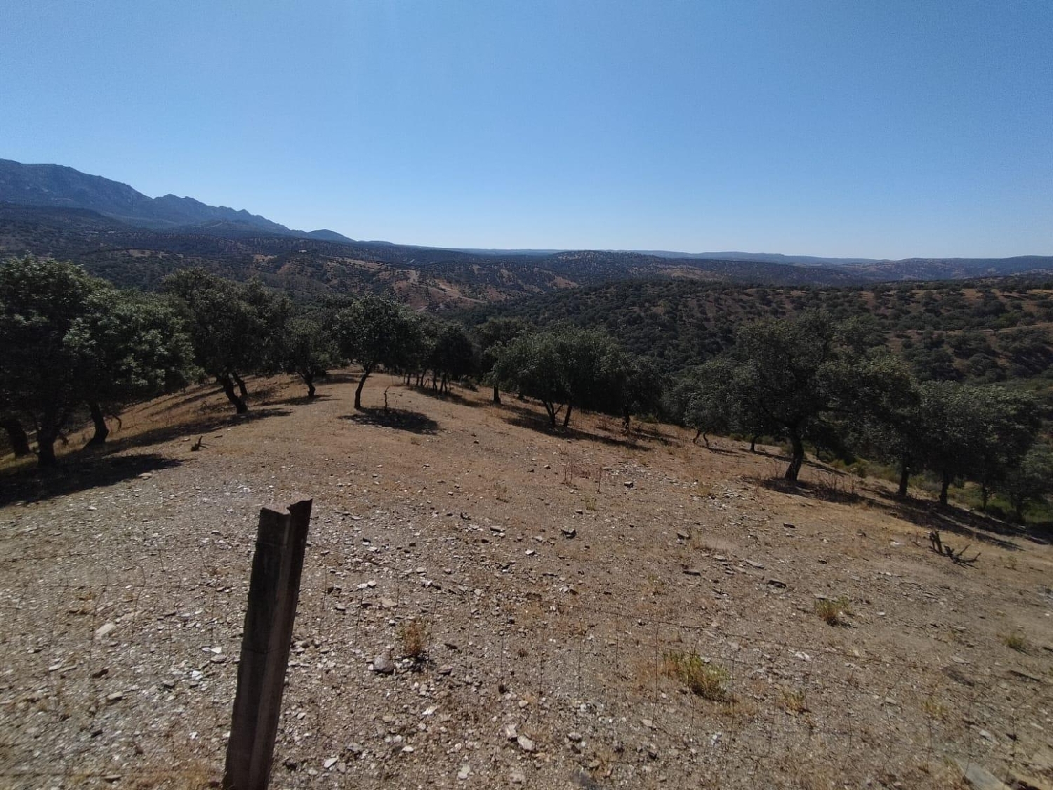  till salu tomt Ventillas Sierra Morena 8