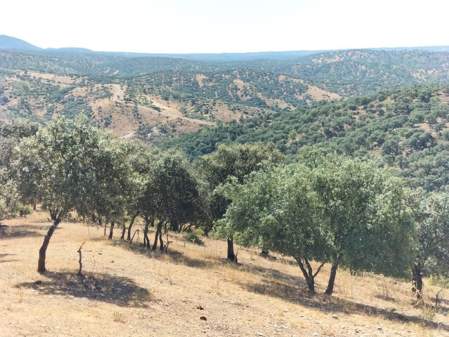  till salu tomt Ventillas Sierra Morena 7