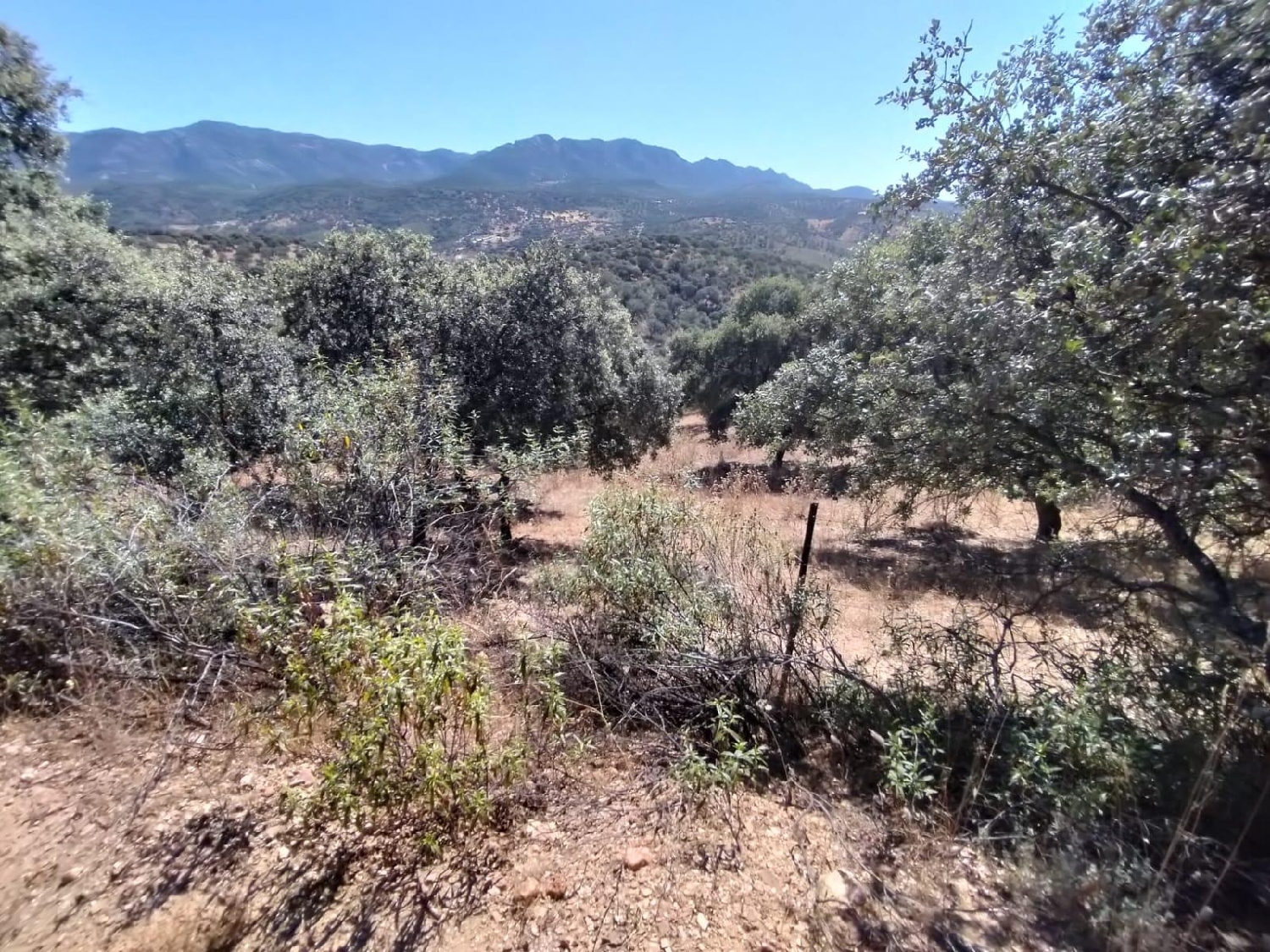  till salu tomt Ventillas Sierra Morena 1