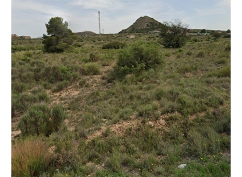 Verdegàs Alacantí tomt foto 6239086