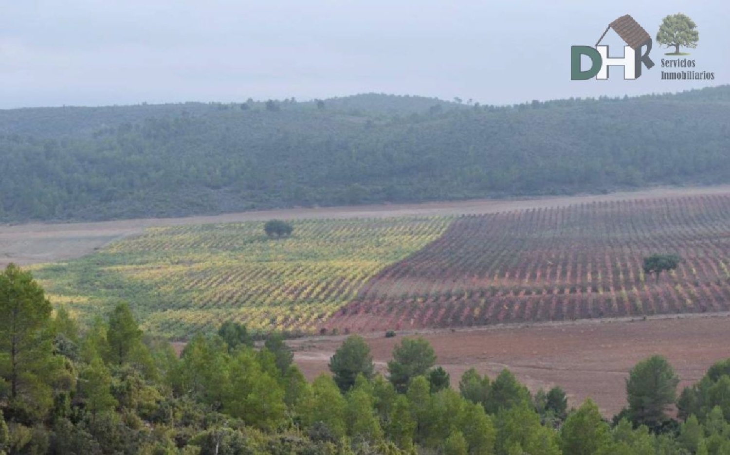  till salu tomt Verdelpino De Cuenca Serranía Media 4