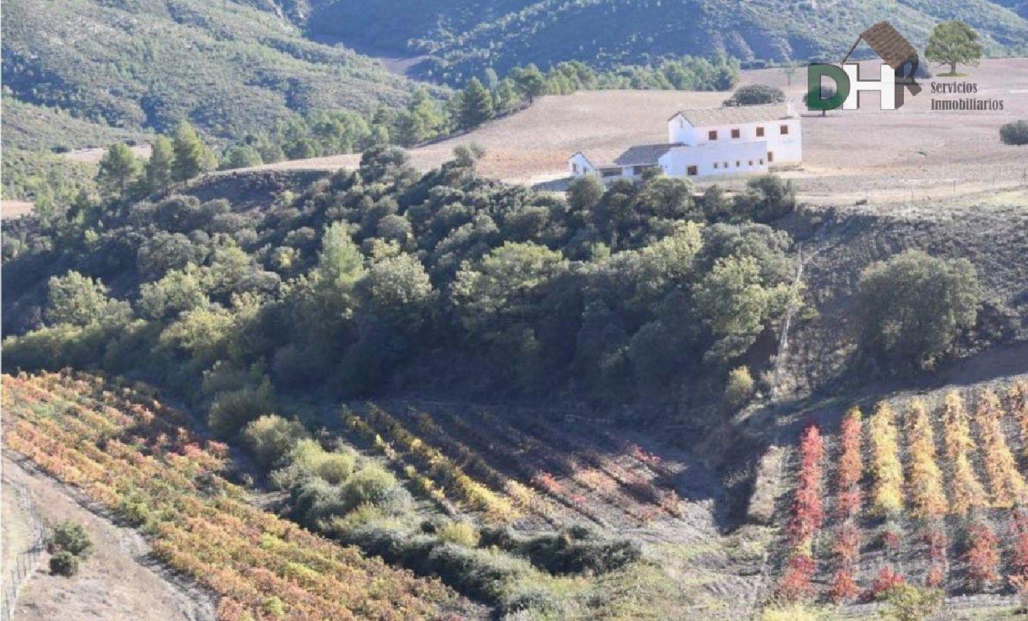till salu tomt Verdelpino De Cuenca Serranía Media 2