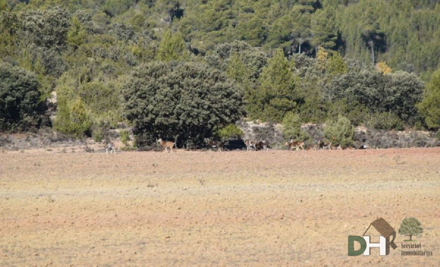  till salu tomt Verdelpino De Cuenca Serranía Media 5