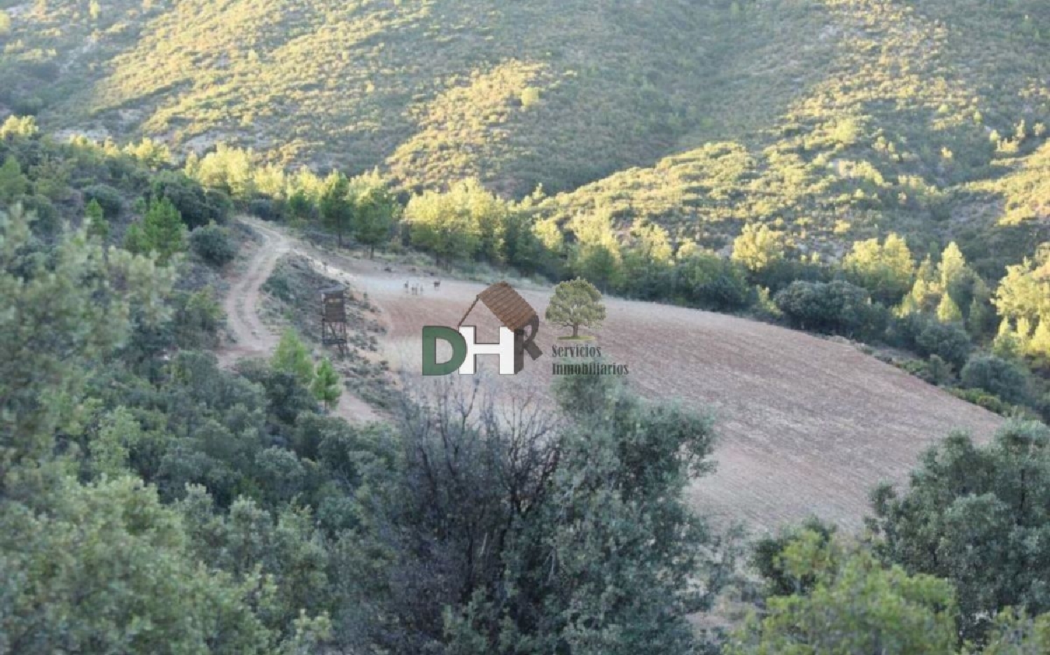  till salu tomt Verdelpino De Cuenca Serranía Media 7