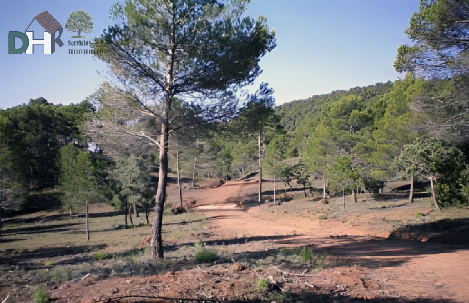  till salu tomt Verdelpino De Cuenca Serranía Media 7