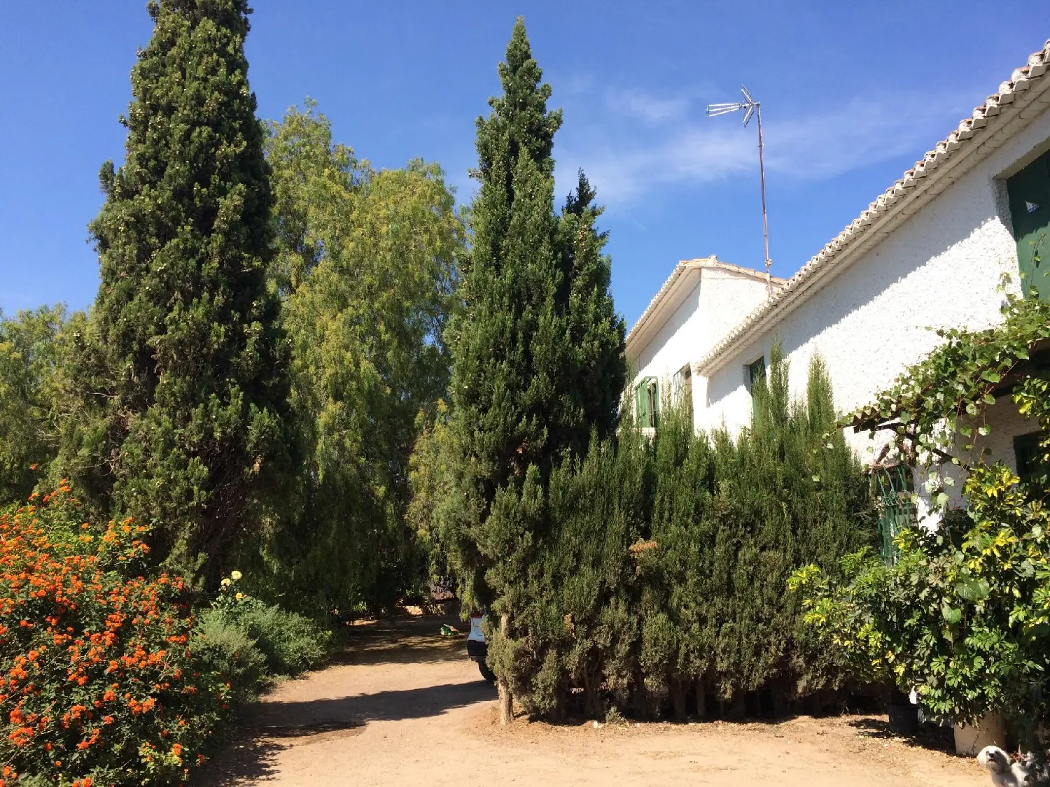 till salu tomt La Buitrera Camp De Túria 1