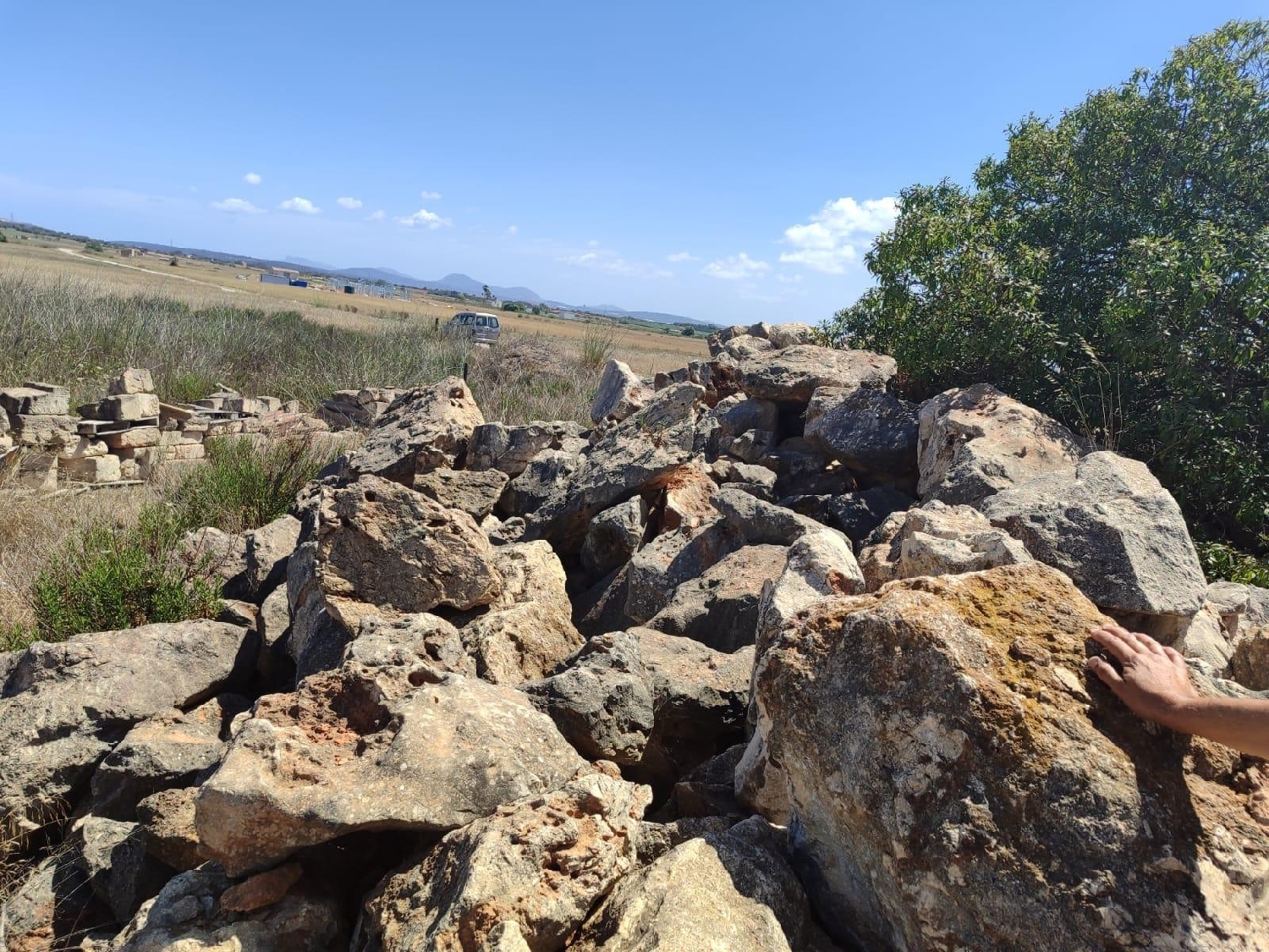  for sale plot Vilafranca De Bonany Pla (Es) 8