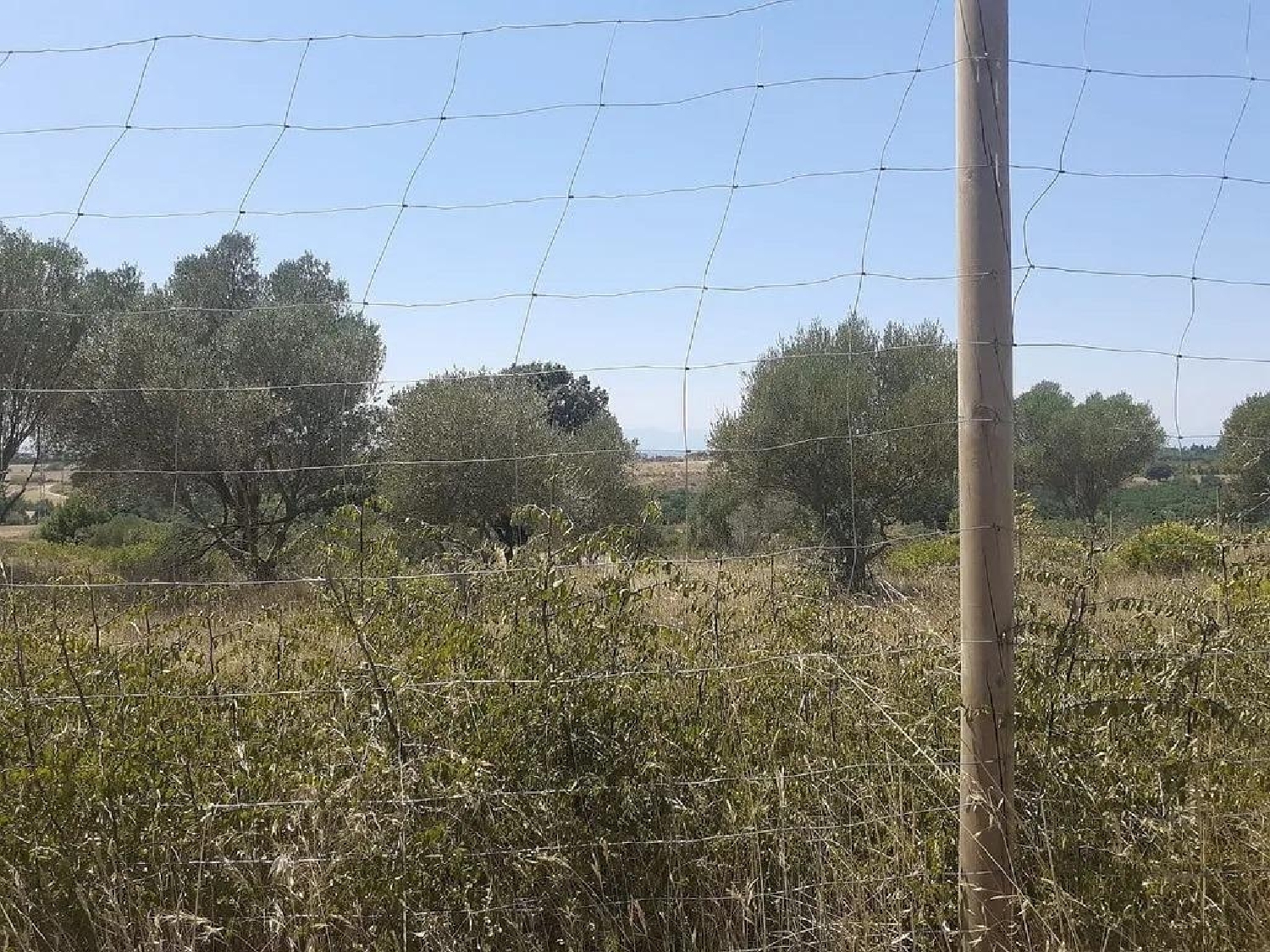 for sale plot Pedret I Marza Alt Empordà 3