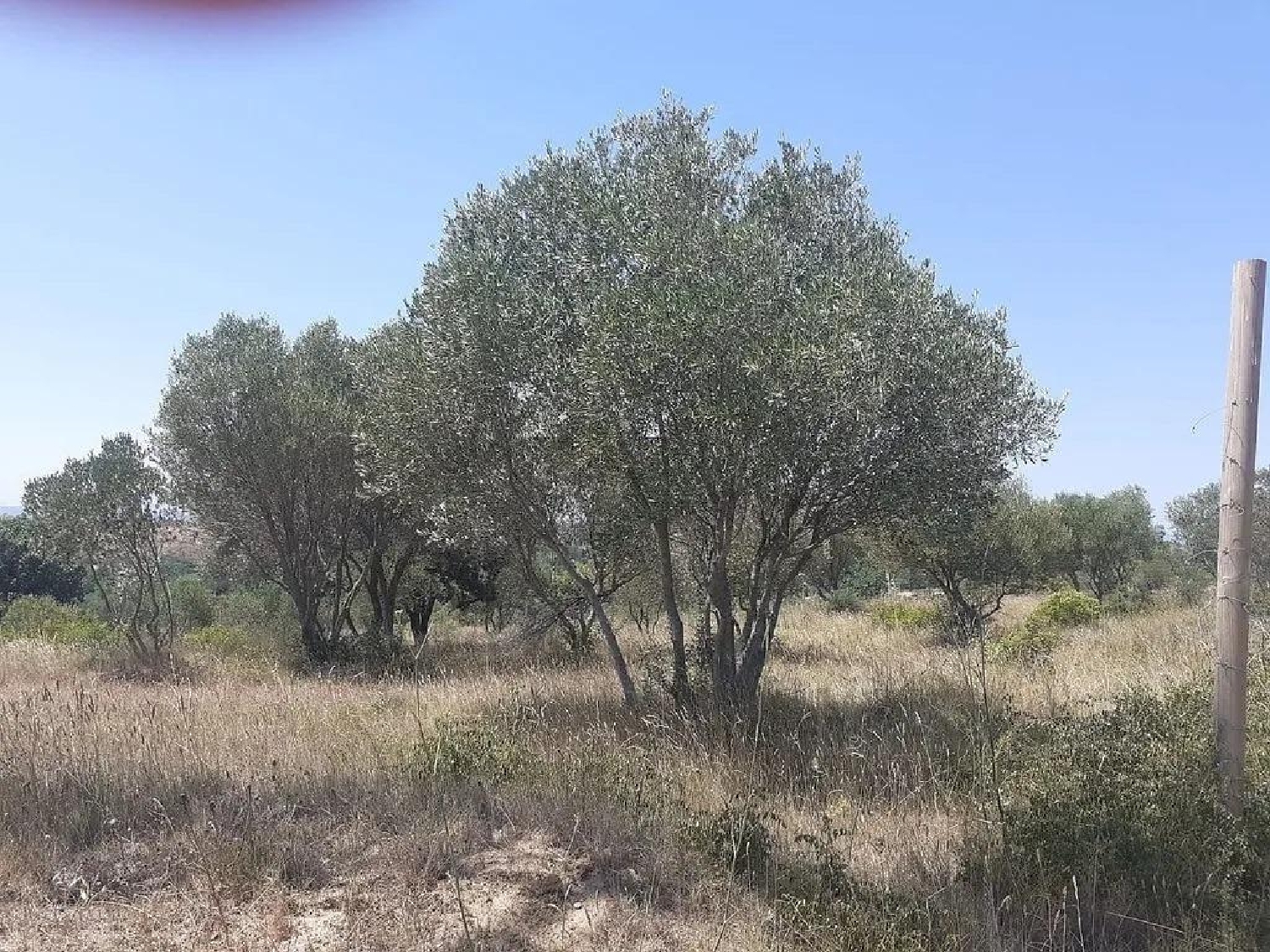 for sale plot Pedret I Marza Alt Empordà 7