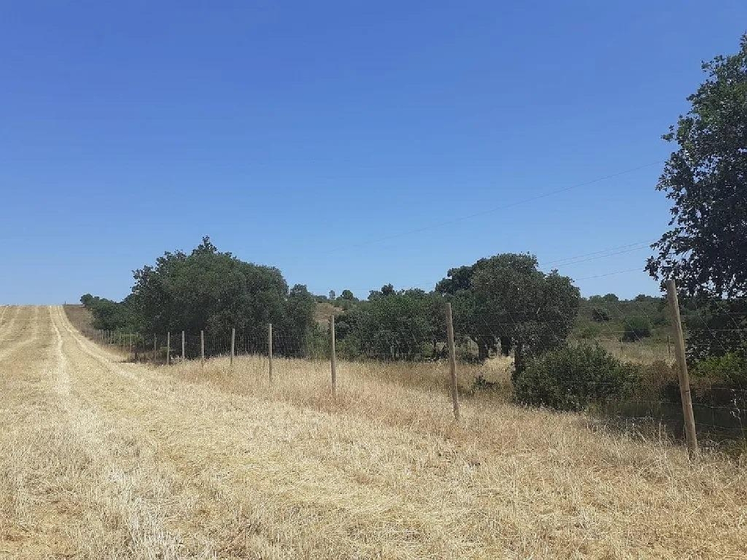  for sale plot Pedret I Marza Alt Empordà 5