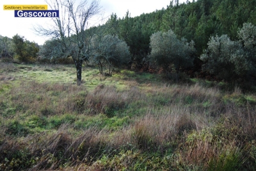 Villa Del Rey Tajo-Salor tomt foto 6224061