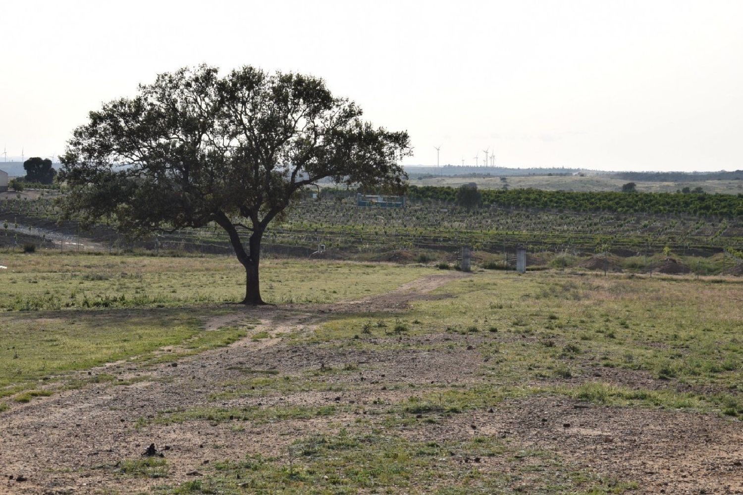 for sale plot Villablanca Costa Occidental 3
