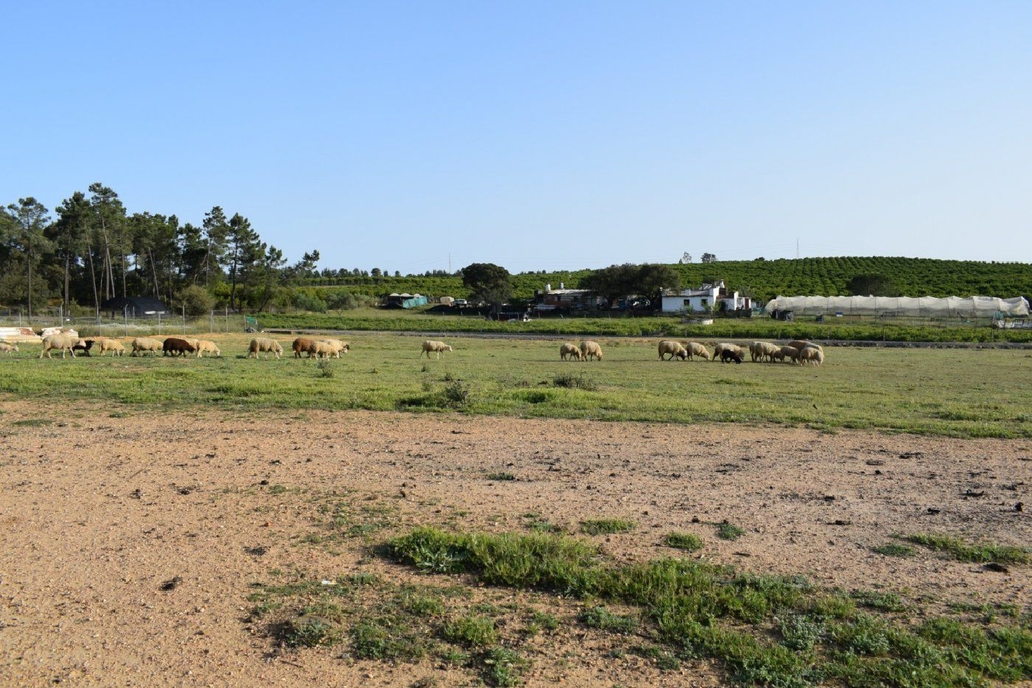  for sale plot Villablanca Costa Occidental 7