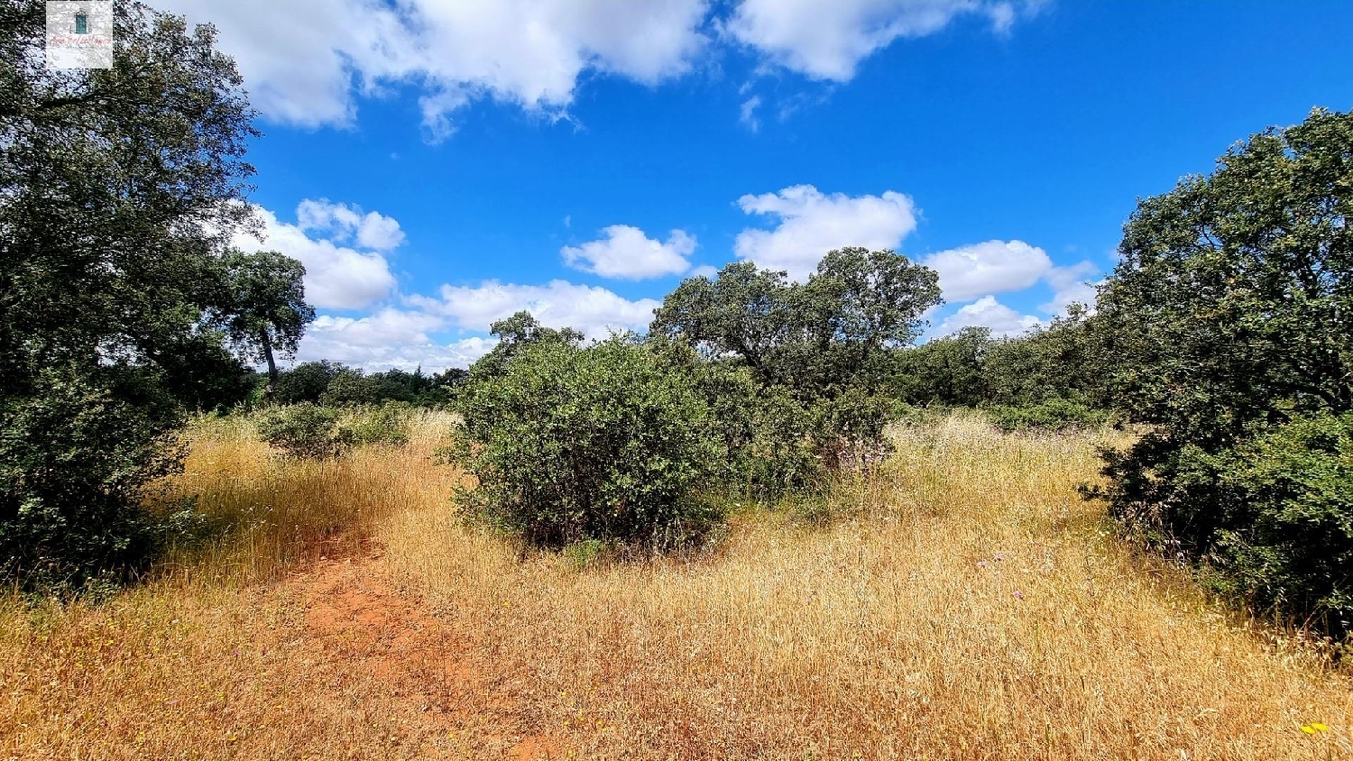  for sale plot Atalaya Badajoz 4